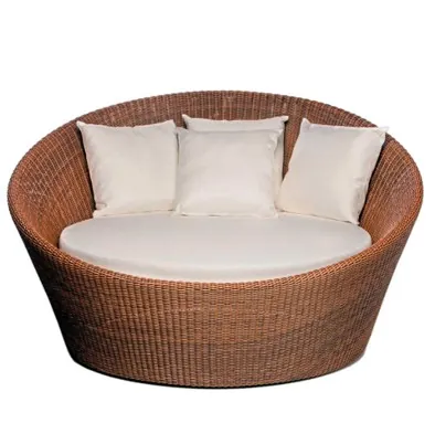 Chaise Dracena