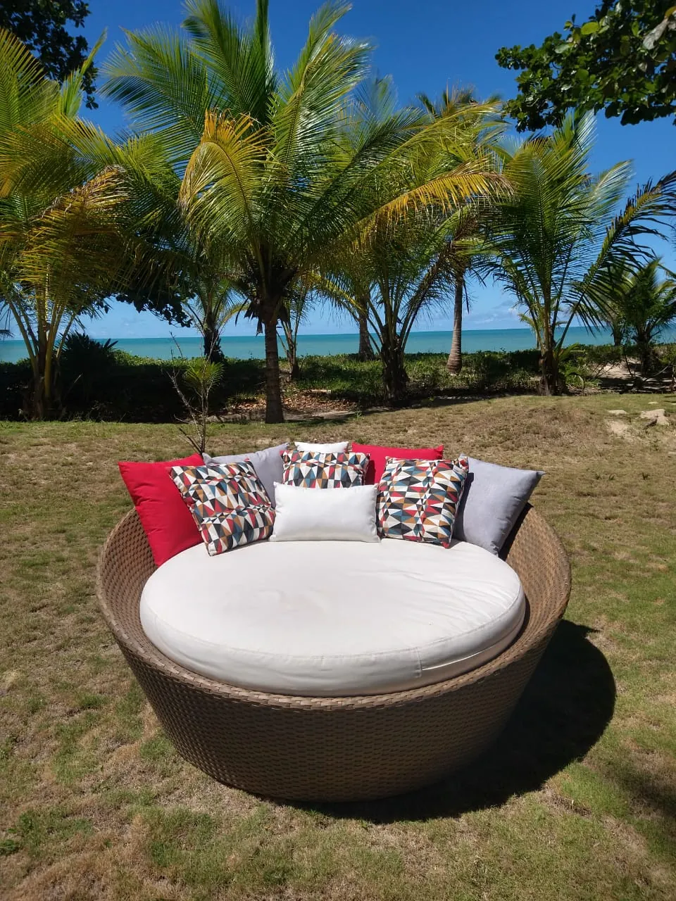 Chaise Dracena